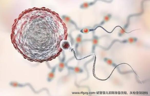 试管婴儿前期准备流程，从检查到建档