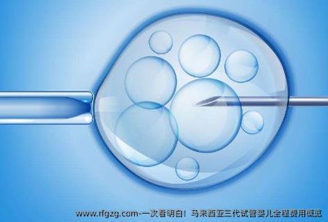 一次看明白！马来西亚三代试管婴儿全程费用概览