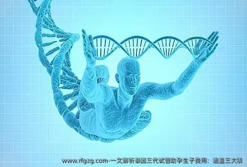 一文解析泰国三代试管助孕生子费用：涵盖三大项