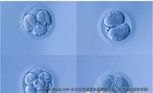 长沙三代试管全面费用分析：三大核心板块详解！
