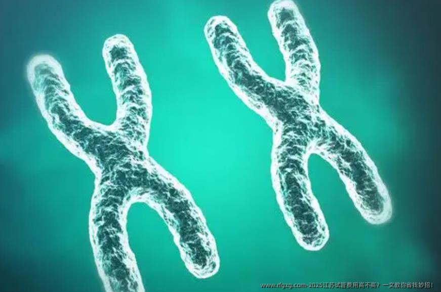 2025江苏试管费用高不高？一文教你省钱妙招！