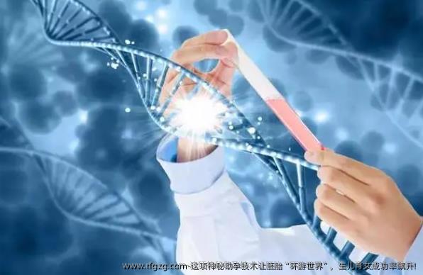 这项神秘助孕技术让胚胎“环游世界”，生儿育女成功率飙升!