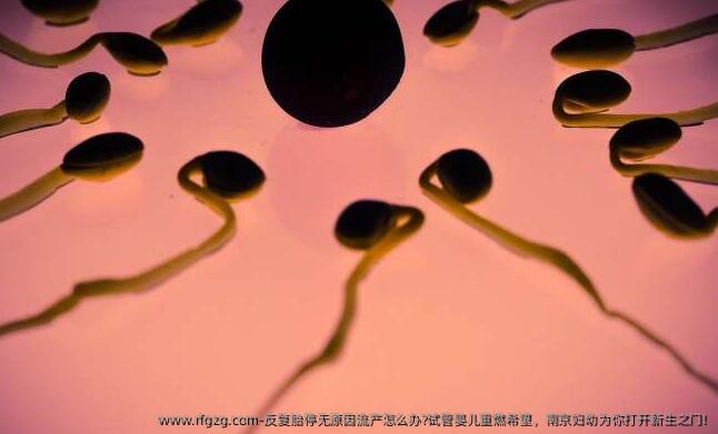 反复胎停无原因流产怎么办?试管婴儿重燃希望，南京妇幼为你打开新生之门!