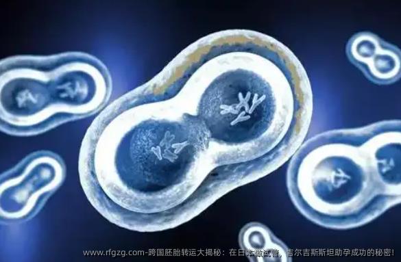 跨国胚胎转运大揭秘：在日本做试管，吉尔吉斯斯坦助孕成功的秘密!