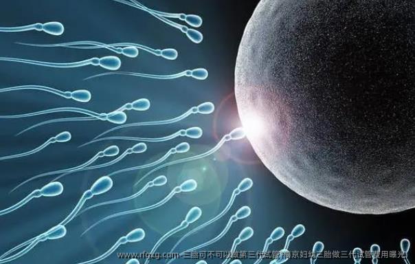 三胎可不可以做第三代试管?南京妇幼三胎做三代试管费用曝光!