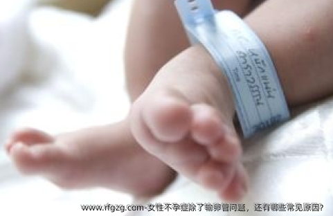 女性不孕症除了输卵管问题，还有哪些常见原因？