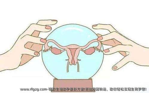 辅助生殖助孕最新方案!胚胎跨国转运，助你轻松实现生育梦想!