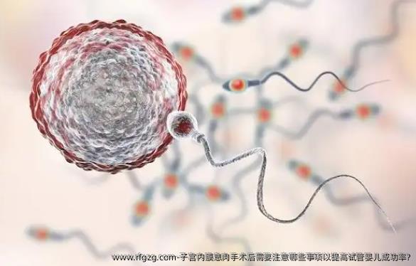 子宫内膜息肉手术后需要注意哪些事项以提高试管婴儿成功率?