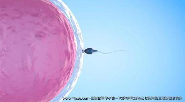 三胎试管多少钱一次啊?南京妇幼公立医院第三胎给做试管吗