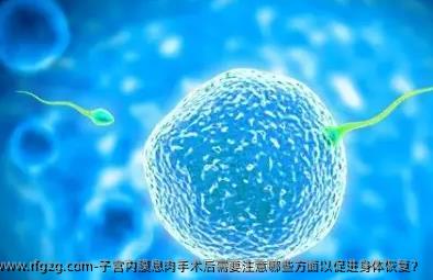 子宫内膜息肉手术后需要注意哪些方面以促进身体恢复？