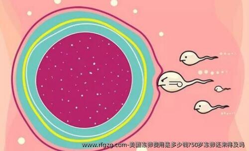 美国雪藏卵费用是多少钱?50岁雪藏卵还来得及吗