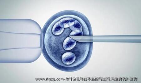 为什么选择日本胚胎转运?未来生育的新趋势!
