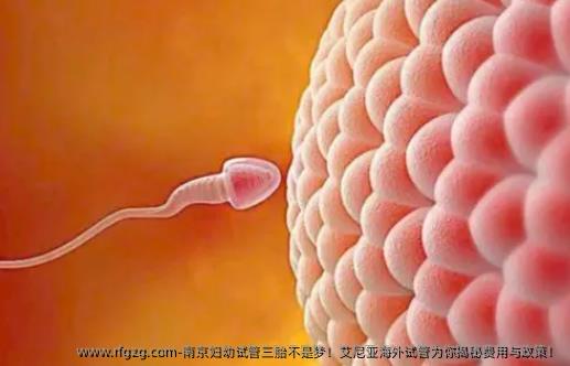 南京妇幼试管三胎不是梦！艾尼亚海外试管为你揭秘费用与政策！