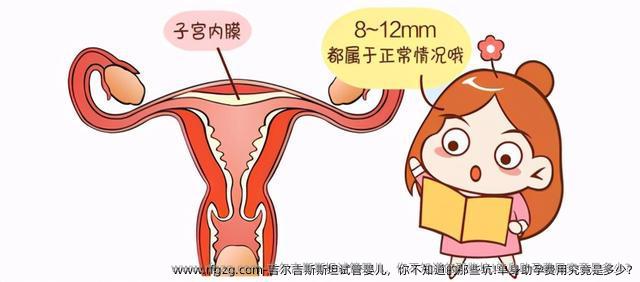 吉尔吉斯斯坦试管婴儿，你不知道的那些坑!单身助孕费用究竟是多少?