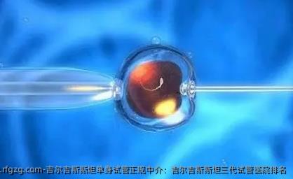吉尔吉斯斯坦单身试管正规中介：吉尔吉斯斯坦三代试管医院排名
