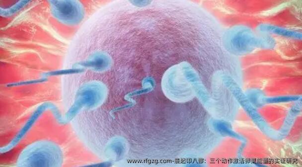 ‌晨起叩八髎：三个动作激活卵巢能量的实证研究‌