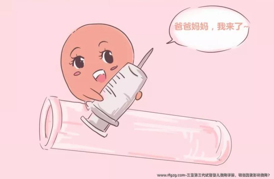 三亚第三代试管婴儿费用详解，哪些因素影响费用？