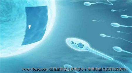 三亚试管婴儿费用多少？费用明细与试管流程解析！