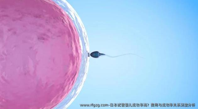日本试管婴儿成功率高？费用与成功率关系深度分析