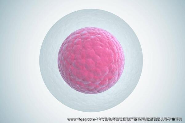 14号染色体倒位核型严重吗?能做试管婴儿怀孕生子吗？