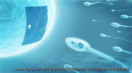 春节生娃为何选择玛祖医生？附找玛祖做三代试管的原因