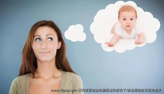 三代试管嵌合体囊胚居然成功了!嵌合胚胎也可成功生子