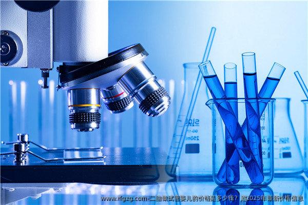 二胎做试管婴儿的价格是多少钱？附2025年最新价格信息