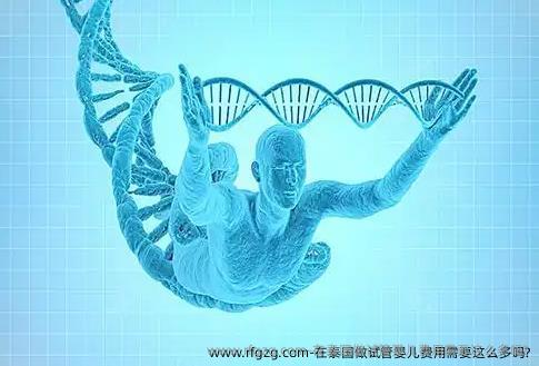 在泰国做试管婴儿费用需要这么多吗?