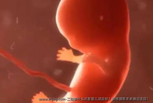 二胎做什么试管婴儿项目好？请根据需求来确定项目！