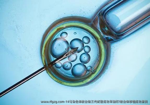 14号染色体嵌合做三代试管成功率如何?嵌合体移植成功案例