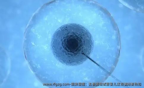 姐妹提醒：去泰国做试管婴儿这些骗局要熟知