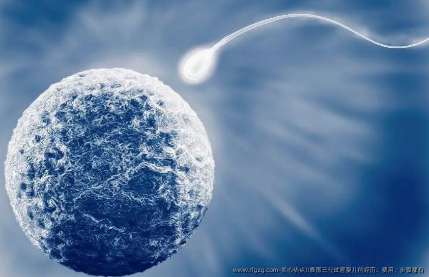 关心热点!!泰国三代试管婴儿的经历：费用、步骤都有