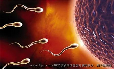 2025俄罗斯试管婴儿费用多少，附大概明细