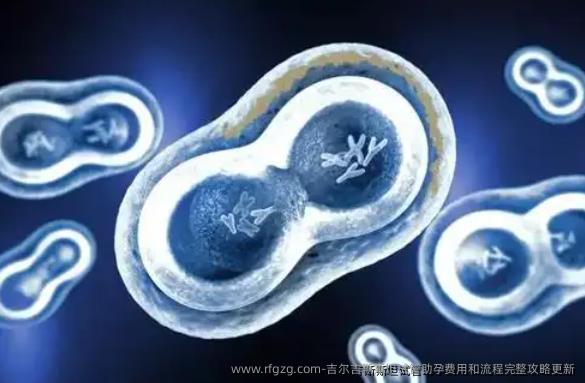 吉尔吉斯斯坦试管助孕费用和流程完整攻略更新