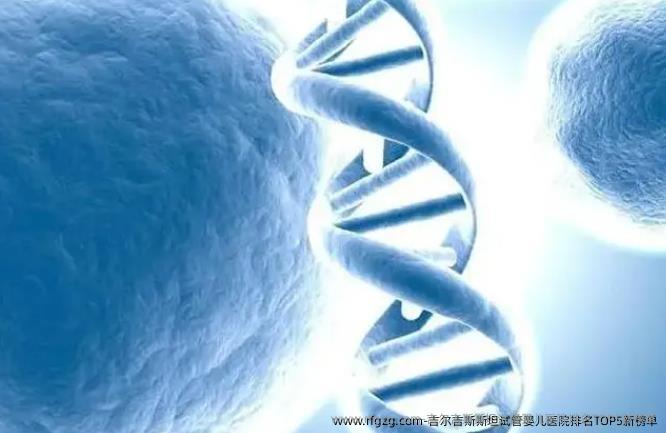 吉尔吉斯斯坦试管婴儿医院排名TOP5新榜单