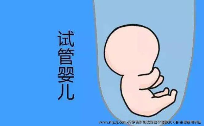 哈萨克斯坦试管助孕套餐30万的主要费用明细