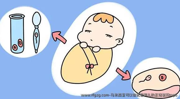 马来西亚可以做试管婴儿的正规医院top5