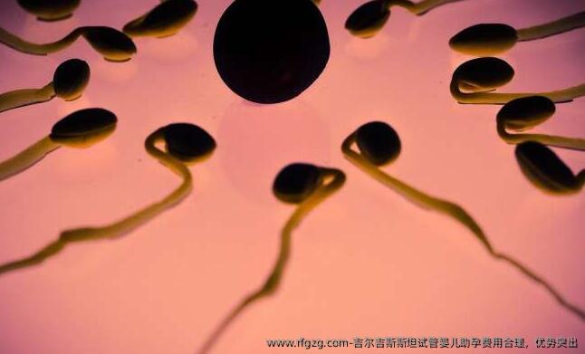 吉尔吉斯斯坦试管婴儿助孕费用合理，优势突出