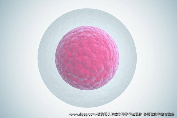 试管婴儿的成功率是怎么算的？去哪家机构做效果好