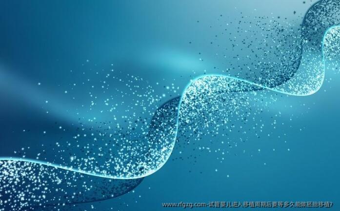 试管婴儿进入移植周期后要等多久能做胚胎移植？