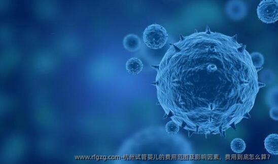 杭州试管婴儿的费用范围及影响因素，费用到底怎么算？