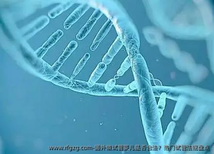 国外做试管婴儿是否合法？热门试管法规盘点