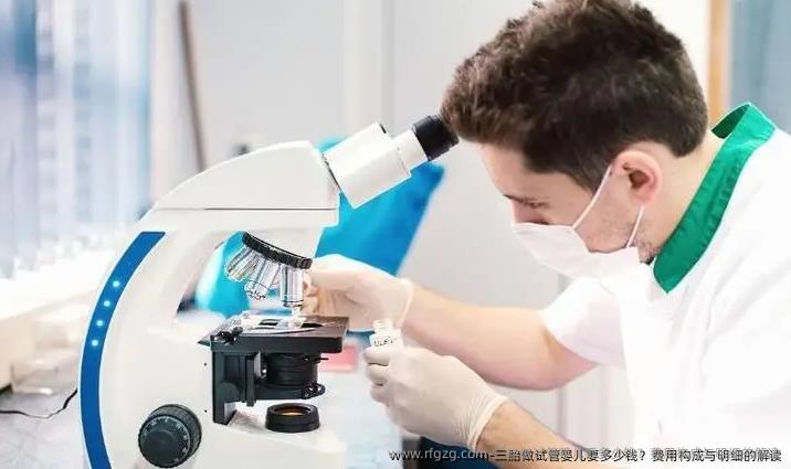 三胎做试管婴儿要多少钱？费用构成与明细的解读