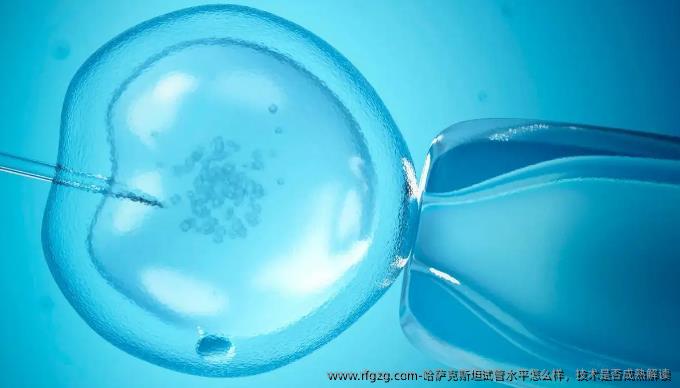 哈萨克斯坦试管水平怎么样，技术是否成熟解读