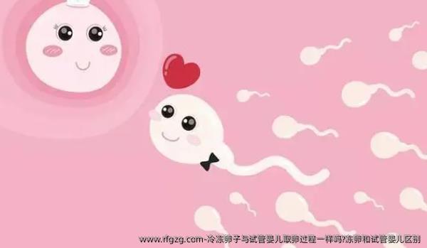 冷雪藏卵子与试管婴儿卵泡取出过程一样吗?雪藏卵和试管婴儿区别
