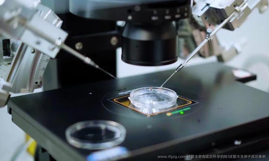 试管雪藏卵有成功怀孕的吗?试管冷雪藏卵子成功案例