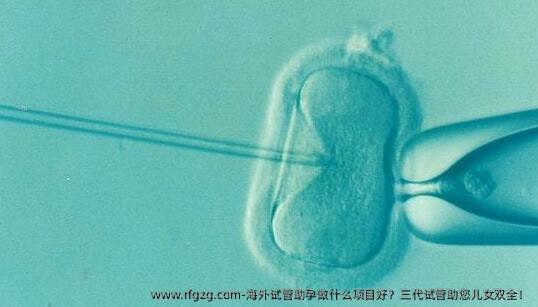 海外试管助孕做什么项目好？三代试管助您儿女双全！