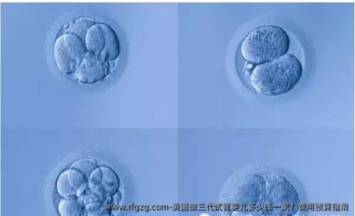 美国做三代试管婴儿多少钱一次？费用预算指南