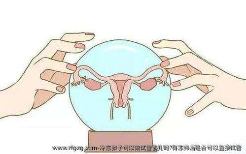冷雪藏卵子可以做试管婴儿吗?有雪藏卵后是否可以直接试管