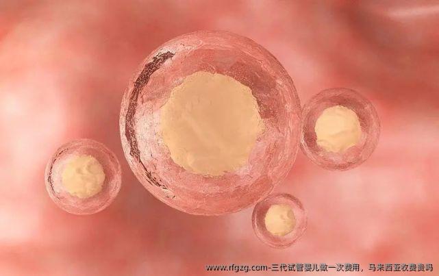 三代试管婴儿做一次费用，马来西亚收费贵吗